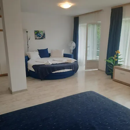 Vila Alba Brasov-2