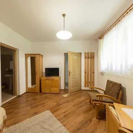 Pensiunea Bella Vita-3