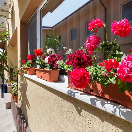 Casa Dinii-3