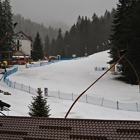 Pensiunea Igloo-2