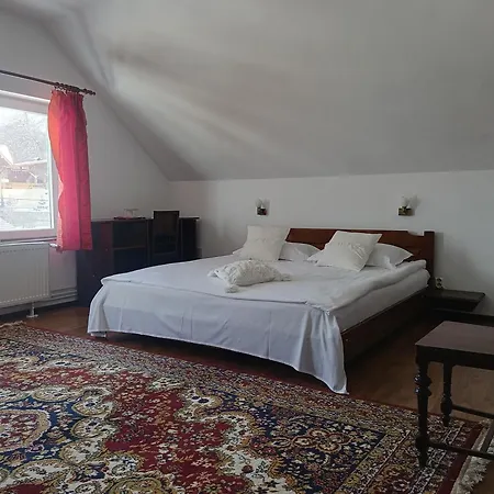 Pension Casa Contelui-3