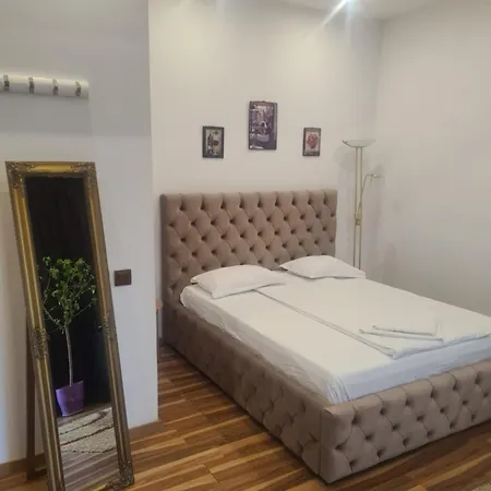 Pensiunea Corina Boutique-3