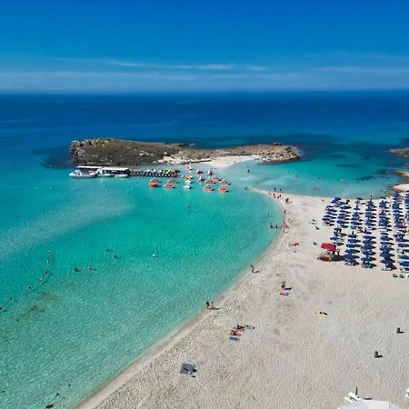 Vassos Nissi Plage Hotel & Spa-3