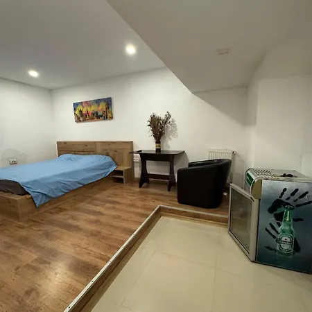 Regim Hotelier Pietonală-3