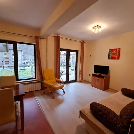 Pension Camelia-2
