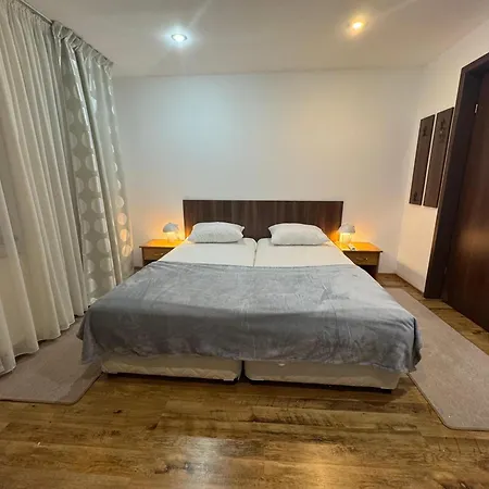 Vila Valentina Busteni-2