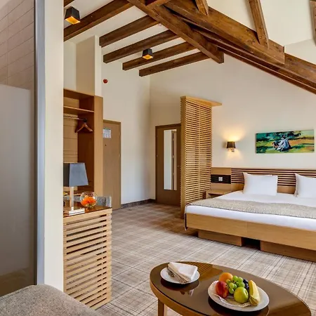 Ana Hotels Sport Poiana Brasov-2