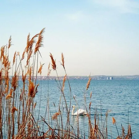 Hotel Scandinavia-3