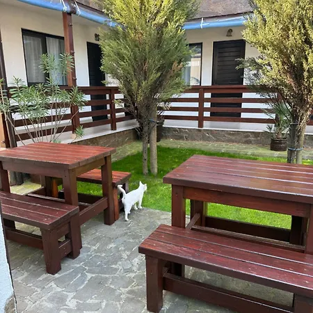 Casa Florenta-3