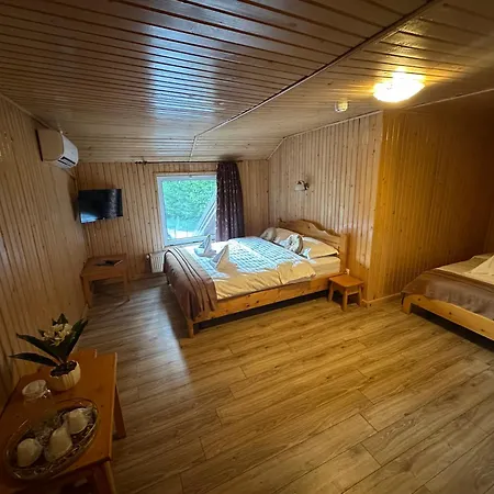 Pensiunea Valea Cetatii-3