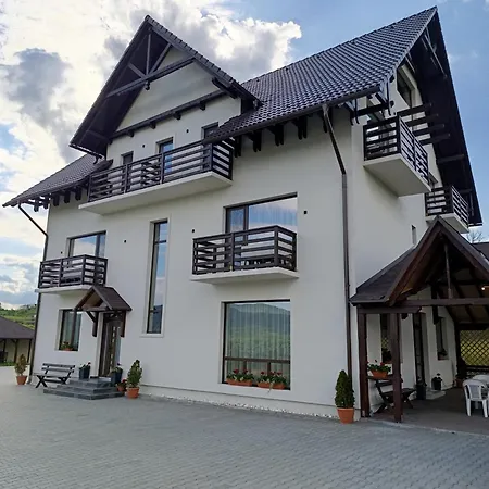 Vila President Sovata-2