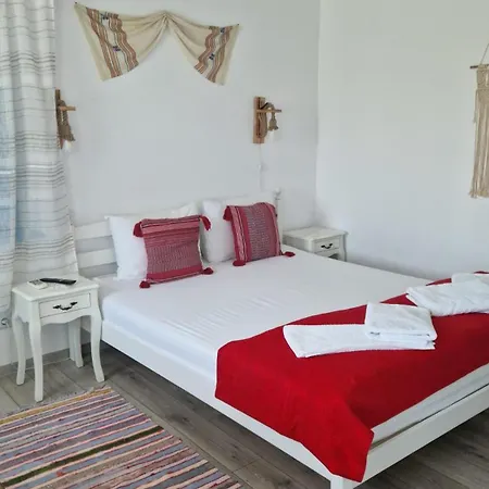 Casa cu stuf Murighiol-3