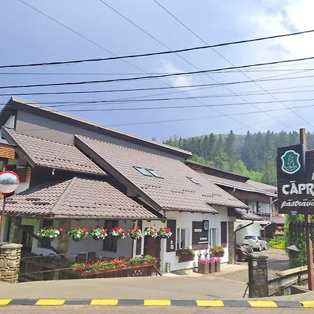 Pensiunea Căprioara Voroneț-3