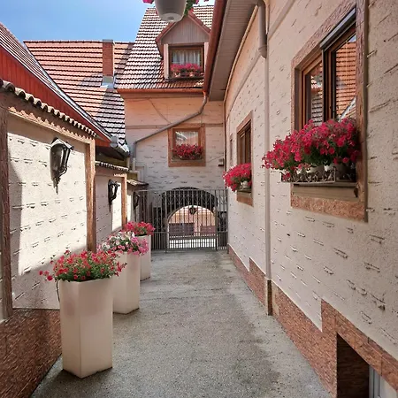 Hotel Claudiu-3