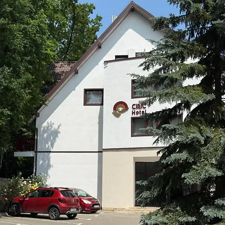 Hotel Ciric-3