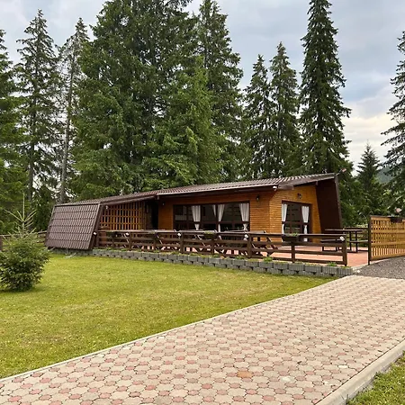 Pensiunea Teodora-3