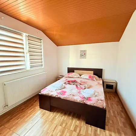 Vila Dragomir-3