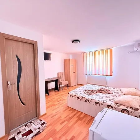 Vila Dragomir-2