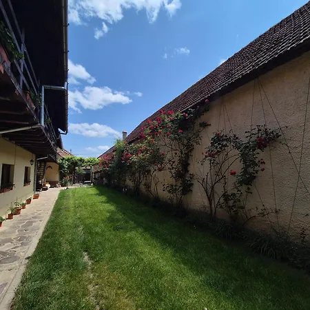 Pensiunea Leia Cârțișoara-2