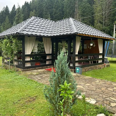 Casa Voronet-3