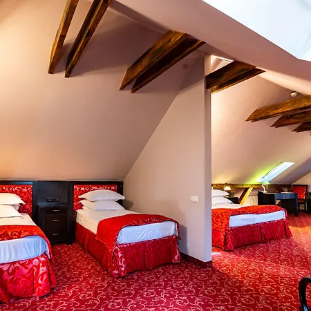 Hotel Central Park Sighisoara-2
