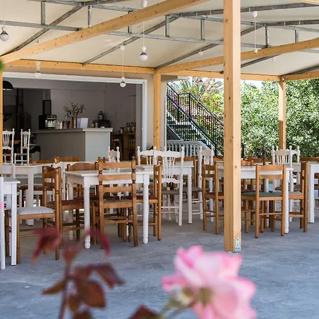 Club Zante Plaza-3