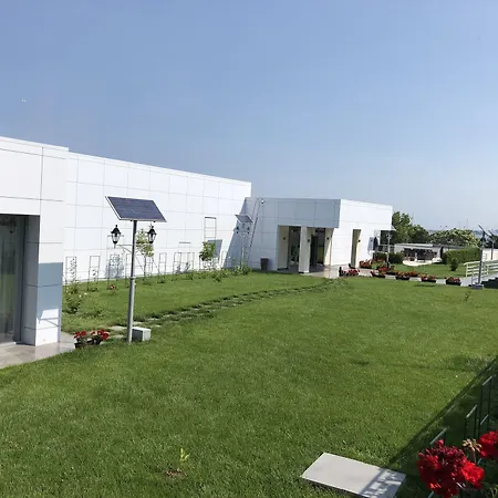 New Belvedere-2