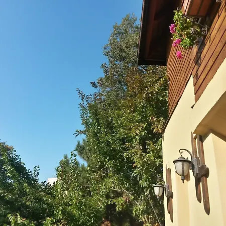 Casa Mica Guesthouse-2