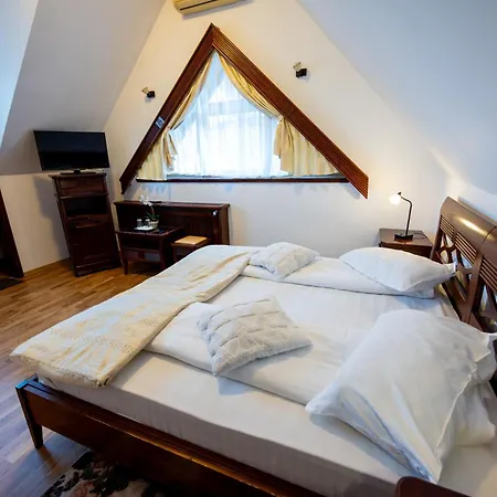 Pension Brasovu Vechi-2