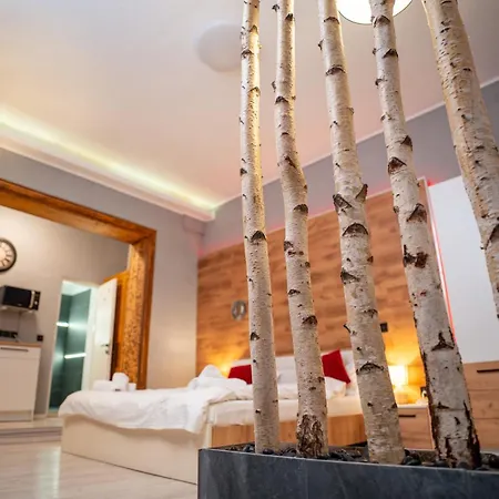 Barrique Garden - Breakfast & Restaurant - Old Town -Officially Classified Guesthouse-3
