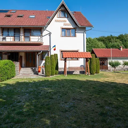 Pensiunea Denisa-3