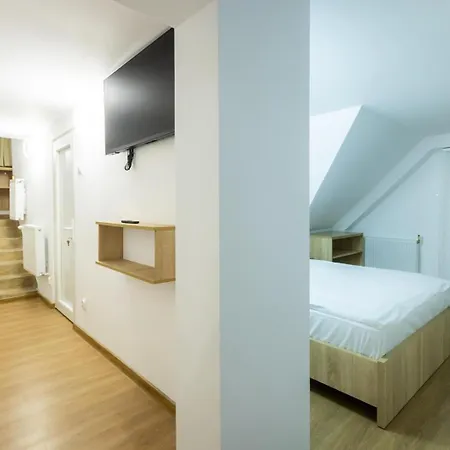 Vila Frații Jderi Straja-3