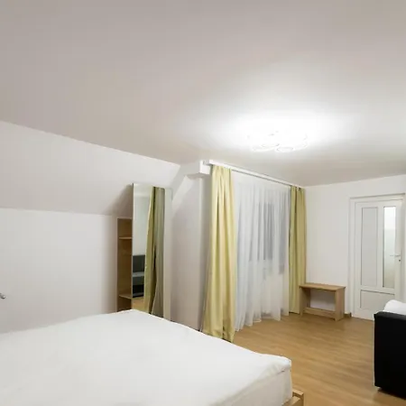 Vila Frații Jderi Straja-2