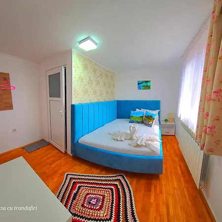 Casa cu Trandafiri Murighiol-3