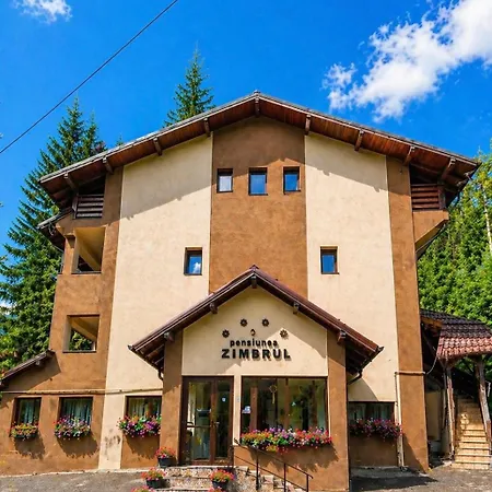 Pensiunea Zimbrul-2