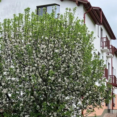 Pensiunea Cetatea Craiului-3