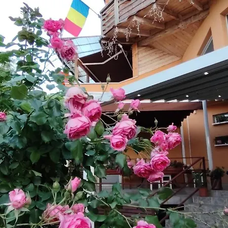 Casa Tudor Turda-3