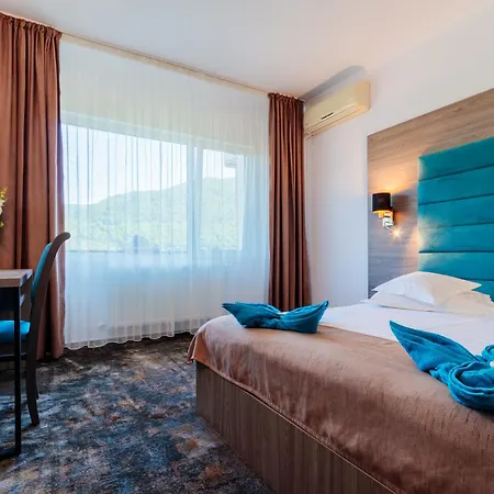 Hotel Orizont Cozia-2
