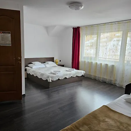 Pensiunea Casa Beatrice Bran-2