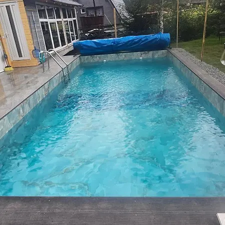 Cabana din Vale Arieseni Apuseni cu Piscina-3