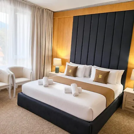 Hotel Carpathia-2
