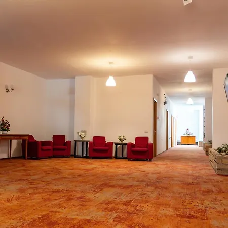 Hotel Mercur-3