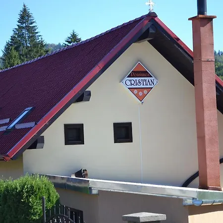 Pensiunea Cristian Covasna-3