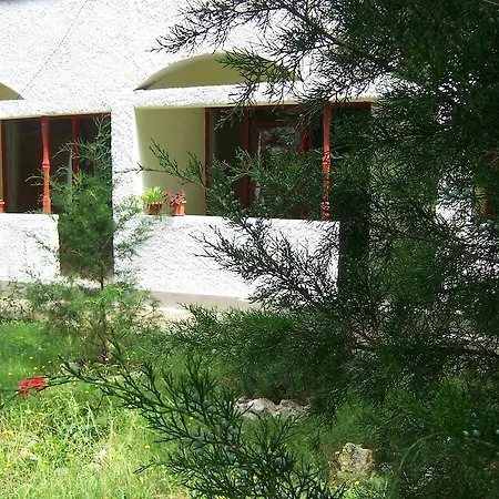 Pensiunea Ruxandra-2