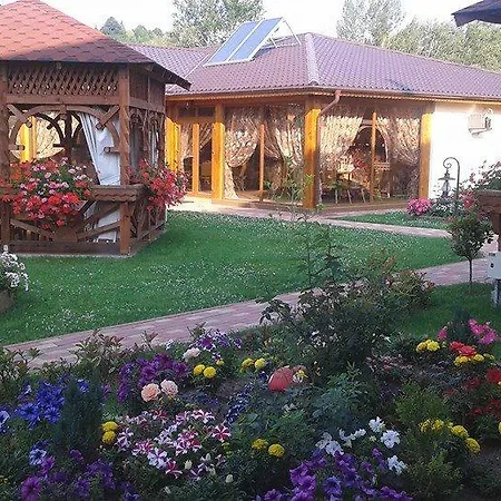 Pensiunea Cabana Soimul-2