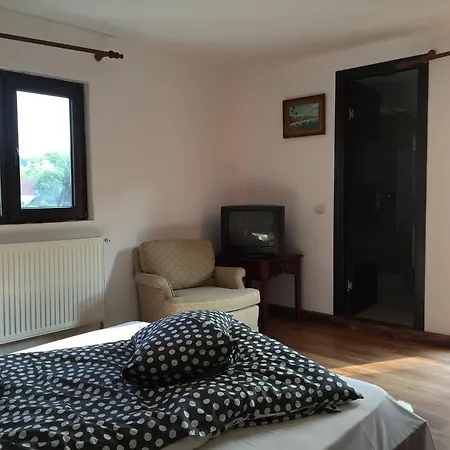Casa Paltinu-2
