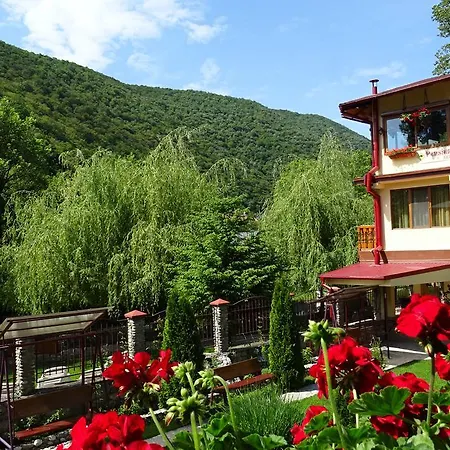 Pension Cuibul Viselor-3