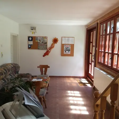 Pensiunea Flori de Camp-2