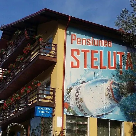 Pensiunea Steluta-3