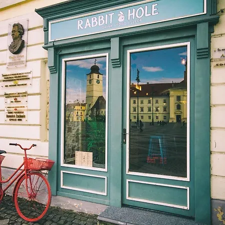 Rabbit Hole-3